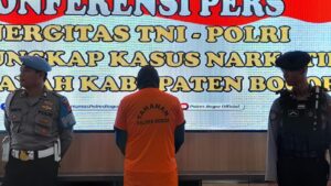 Bandar Ganja Cibinong