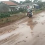 Tangkapan Layar Jalan Rusak di Lampung [Ist]