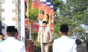 2011b929-4c9c-4d29-8a33-0320424831f7