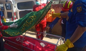 WhatsApp Image 2026-03-11 at 15.54.05