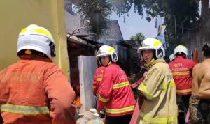 WhatsApp Image 2026-03-20 at 15.56.37