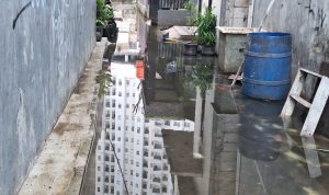 WhatsApp Image 2026-04-10 at 21.25.02 (1)