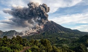 WhatsApp Image 2026-04-14 at 16.23.15