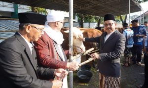WhatsApp Image 2026-05-27 at 15.51.33