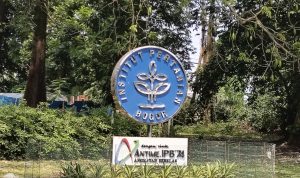 IPB University